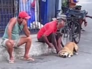 Cão vítima de maus-tratos é resgatado por equipes da Prefeitura em Cabo Frio